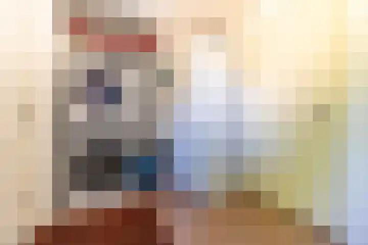 Standaardmolen 1 Alphen aan den Rijn thumbnail 28