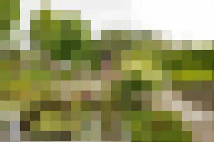 Standaardmolen 1 Alphen aan den Rijn thumbnail 29