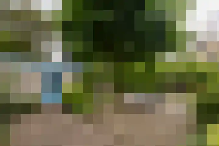Standaardmolen 1 Alphen aan den Rijn thumbnail 30
