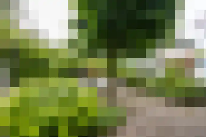 Standaardmolen 1 Alphen aan den Rijn thumbnail 31
