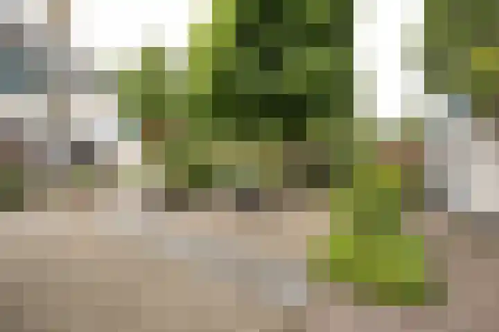 Standaardmolen 1 Alphen aan den Rijn thumbnail 33
