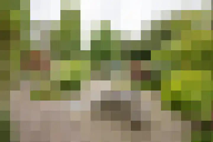 Standaardmolen 1 Alphen aan den Rijn thumbnail 34