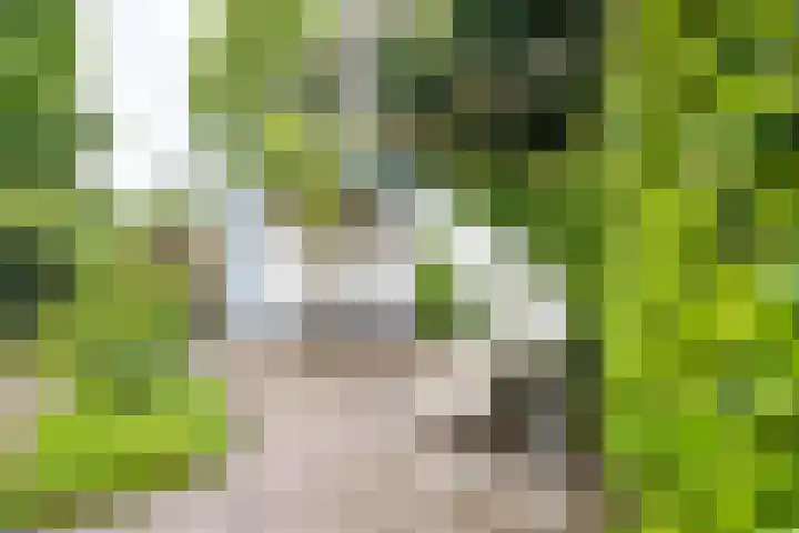 Standaardmolen 1 Alphen aan den Rijn thumbnail 35