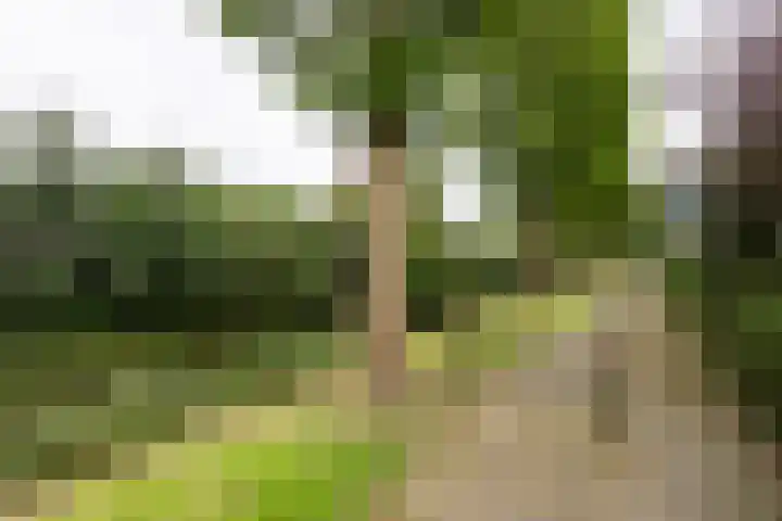 Standaardmolen 1 Alphen aan den Rijn thumbnail 36