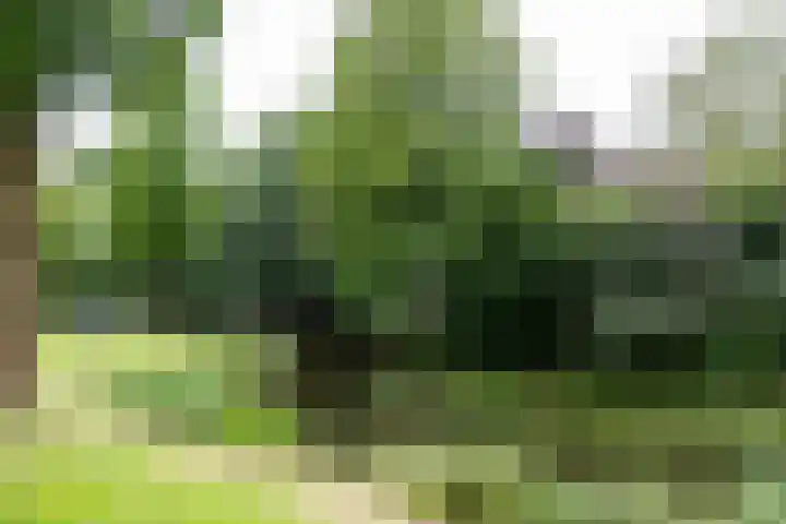 Standaardmolen 1 Alphen aan den Rijn thumbnail 37