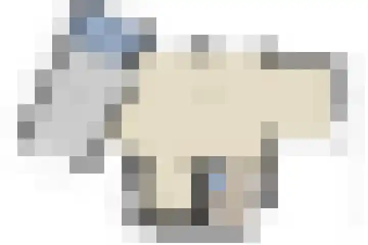 Standaardmolen 1 Alphen aan den Rijn thumbnail 40