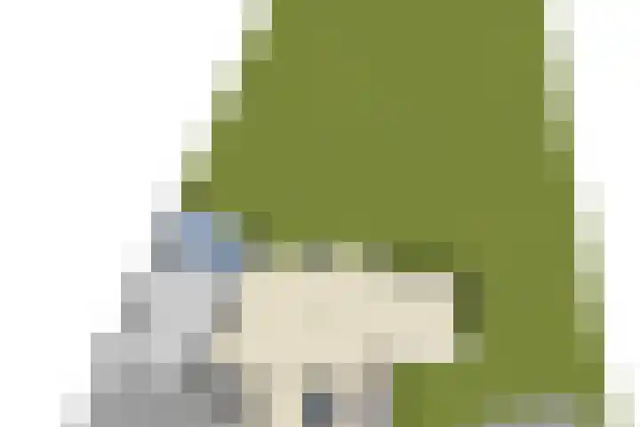 Standaardmolen 1 Alphen aan den Rijn thumbnail 43