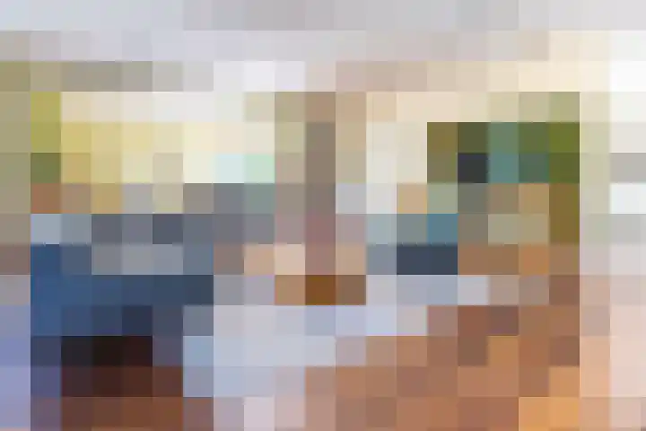 Standaardmolen 1 Alphen aan den Rijn thumbnail 5