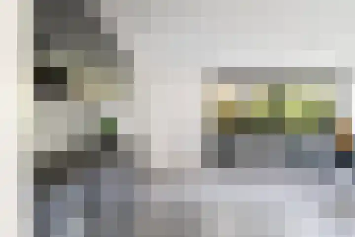 Standaardmolen 1 E Capelle aan den IJssel thumbnail 17