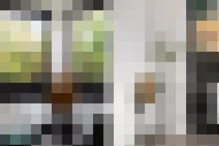 Standaardmolen 1 E Capelle aan den IJssel thumbnail 21
