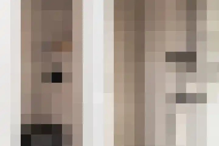 Standaardmolen 1 E Capelle aan den IJssel thumbnail 33