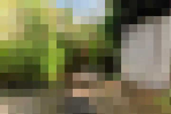 Standaardmolen 1 E Capelle aan den IJssel thumbnail 34