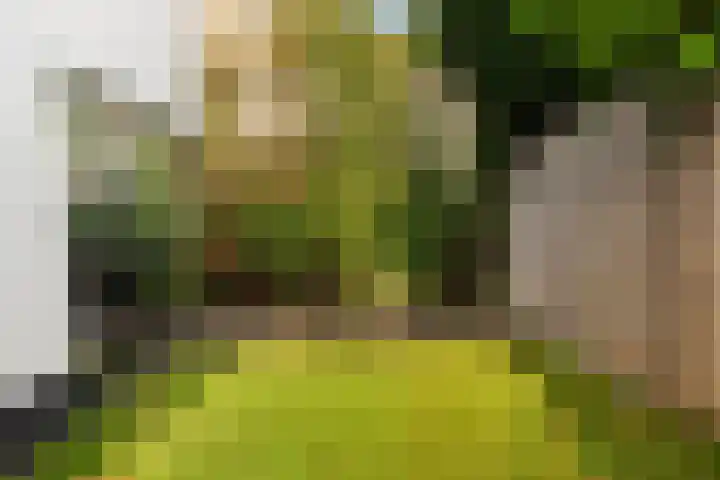 Standaardmolen 1 E Capelle aan den IJssel thumbnail 35