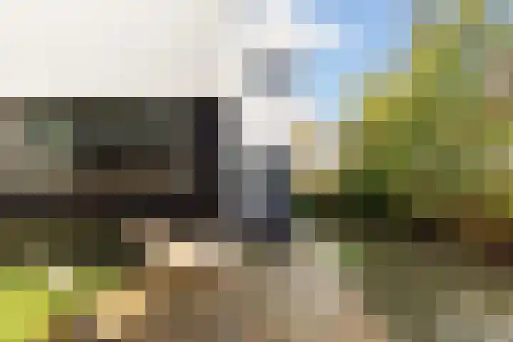 Standaardmolen 1 E Capelle aan den IJssel thumbnail 36