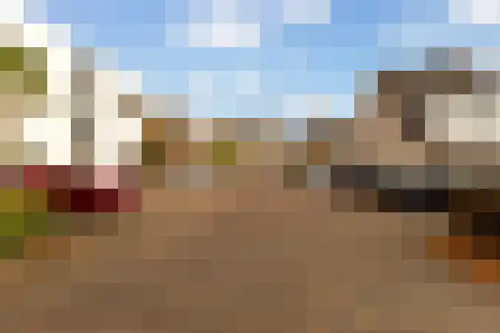 Standaardmolen 1 E Capelle aan den IJssel thumbnail 4
