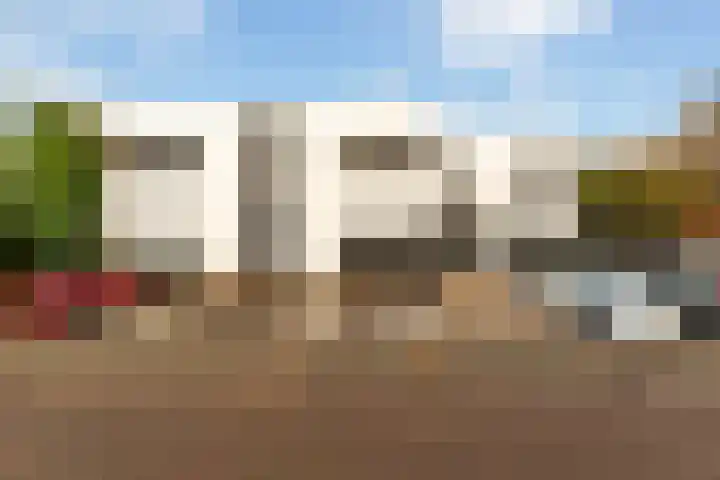 Standaardmolen 1 E Capelle aan den IJssel thumbnail 6