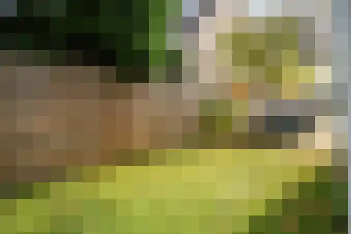 Standaardmolen 1 E Capelle aan den IJssel thumbnail 8