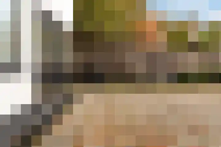 Standaardmolen 1 E Capelle aan den IJssel thumbnail 9