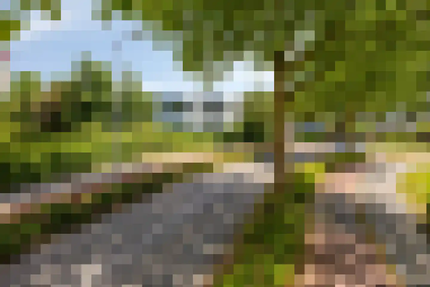 Standaardmolen 1 H Capelle aan den IJssel thumbnail 24