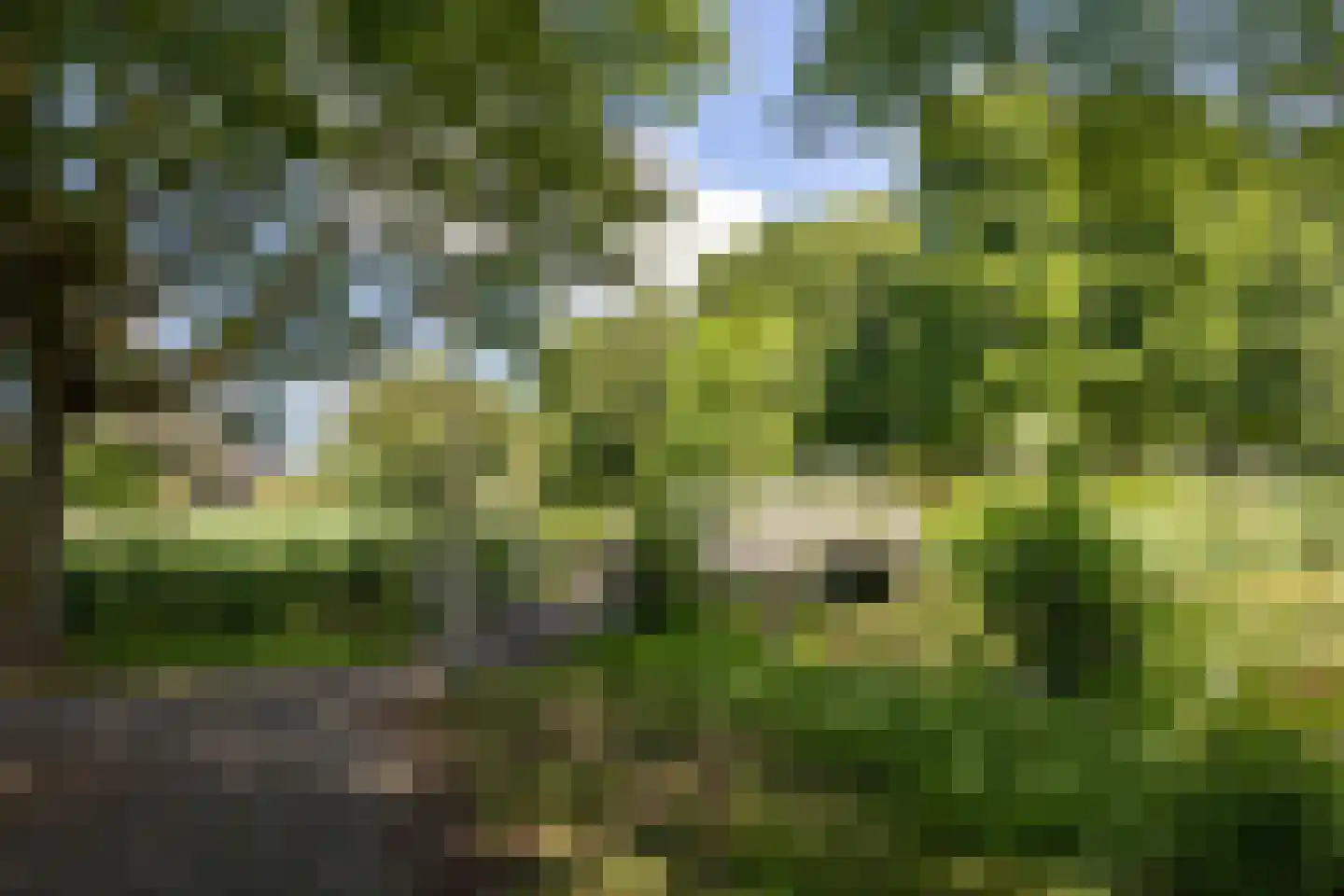Standaardmolen 1 H Capelle aan den IJssel thumbnail 26