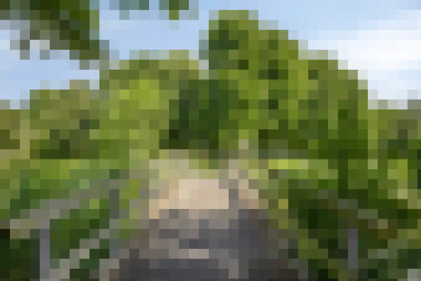 Standaardmolen 1 H Capelle aan den IJssel thumbnail 27