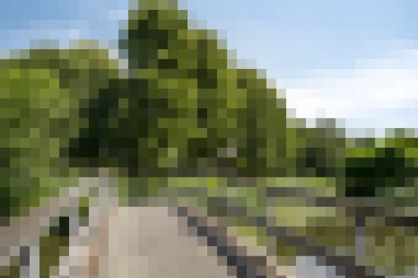 Standaardmolen 1 H Capelle aan den IJssel thumbnail 28
