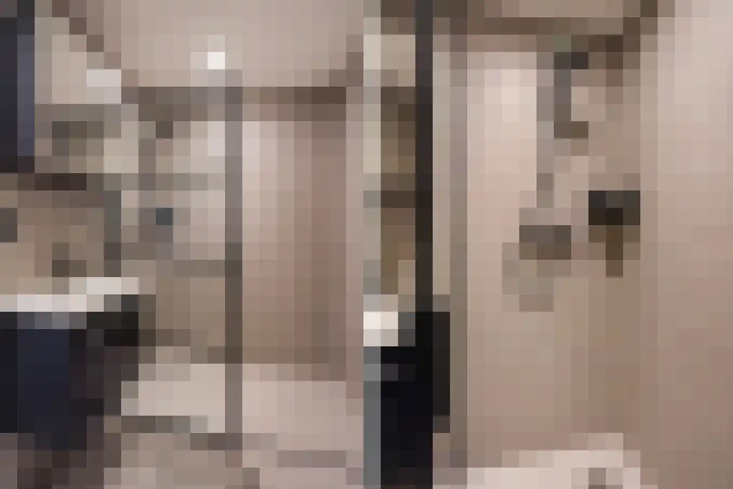 Standaardmolen 1 J Capelle aan den IJssel thumbnail 12