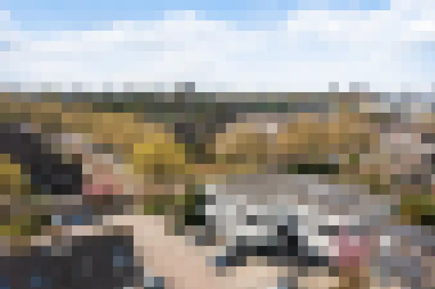 Standaardmolen 1 J Capelle aan den IJssel thumbnail 19