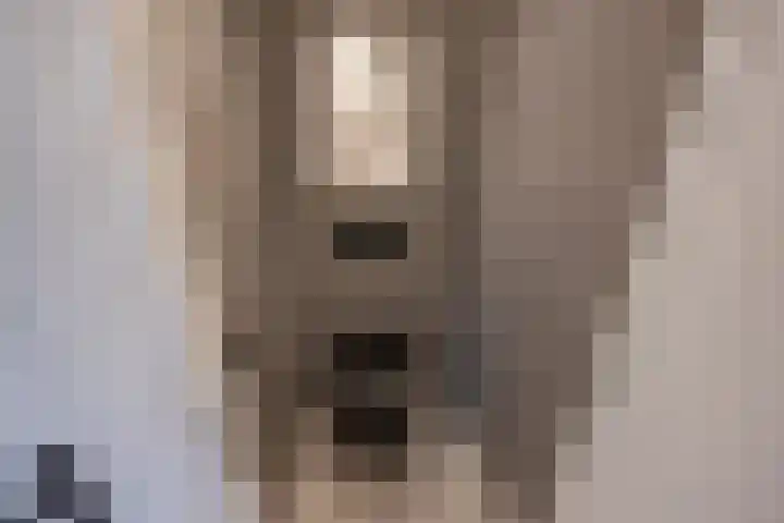 Standaardmolen 1 J Capelle aan den IJssel thumbnail 20