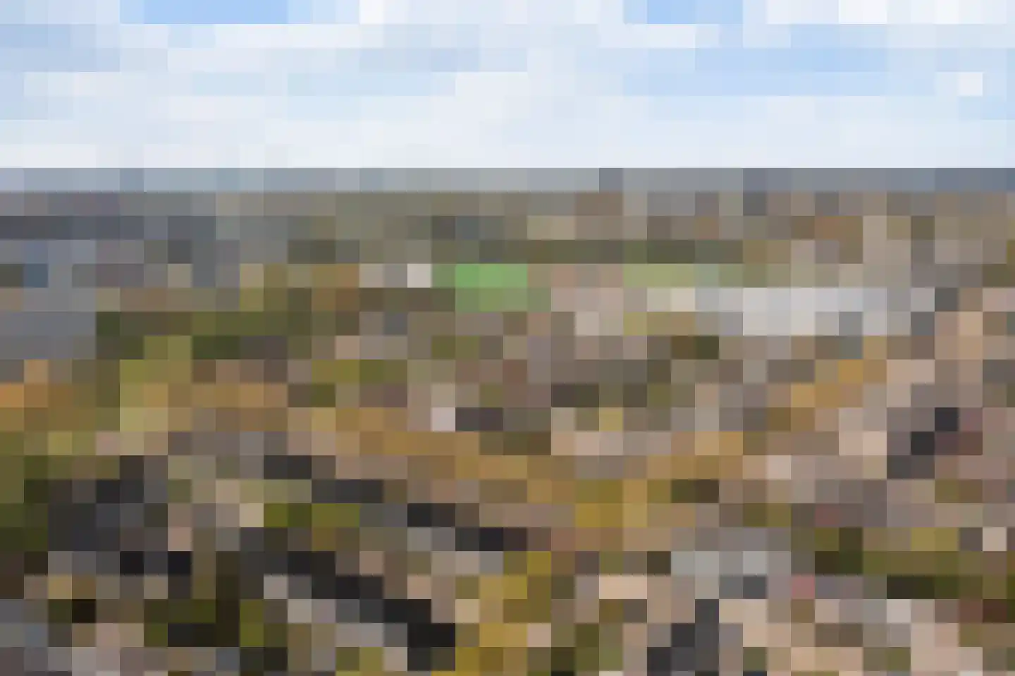 Standaardmolen 1 J Capelle aan den IJssel thumbnail 20
