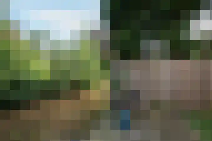 Standaardmolen 1 J Capelle aan den IJssel thumbnail 23