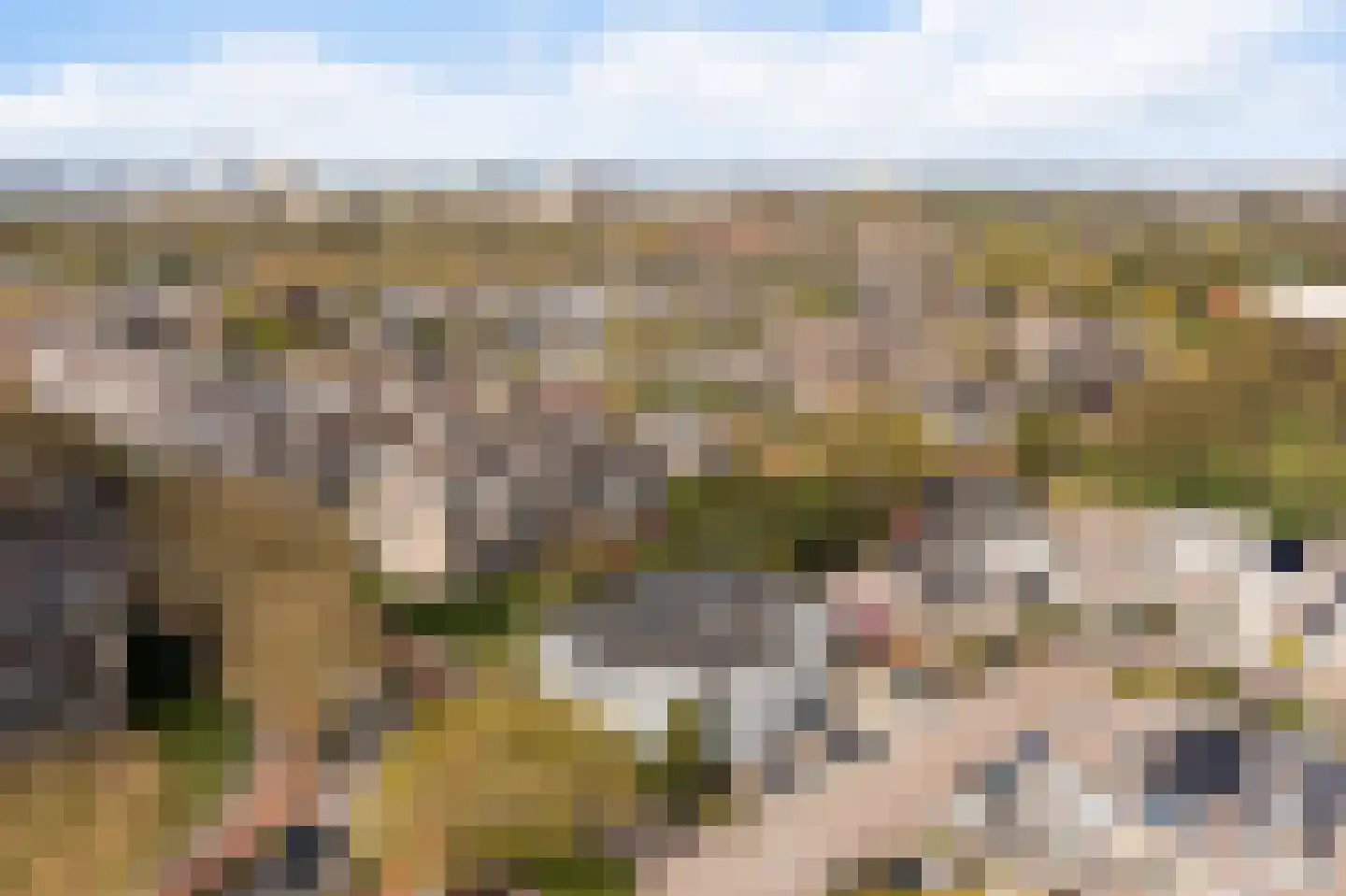Standaardmolen 1 J Capelle aan den IJssel thumbnail 23