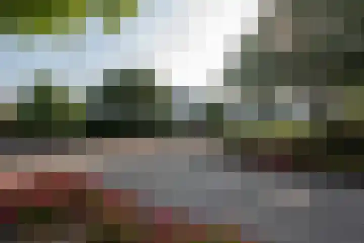 Standaardmolen 1 J Capelle aan den IJssel thumbnail 24