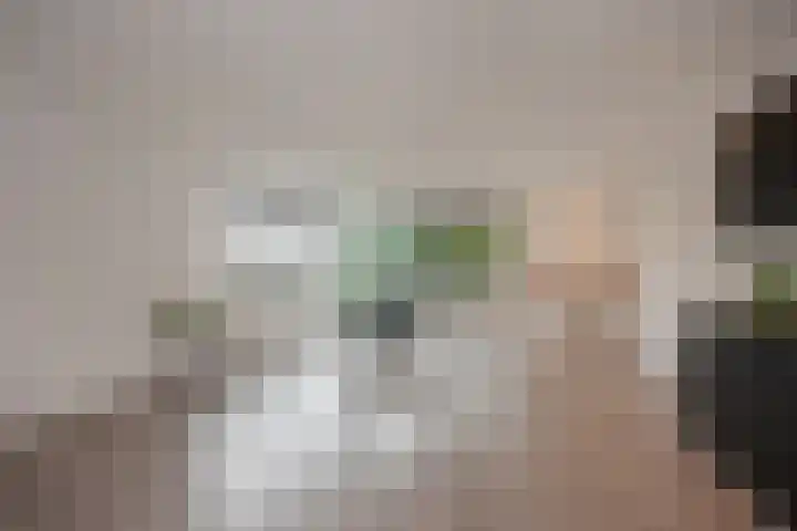Standaardmolen 1 J Capelle aan den IJssel thumbnail 26