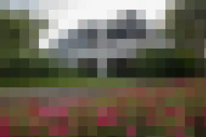 Standaardmolen 1 J Capelle aan den IJssel thumbnail 4