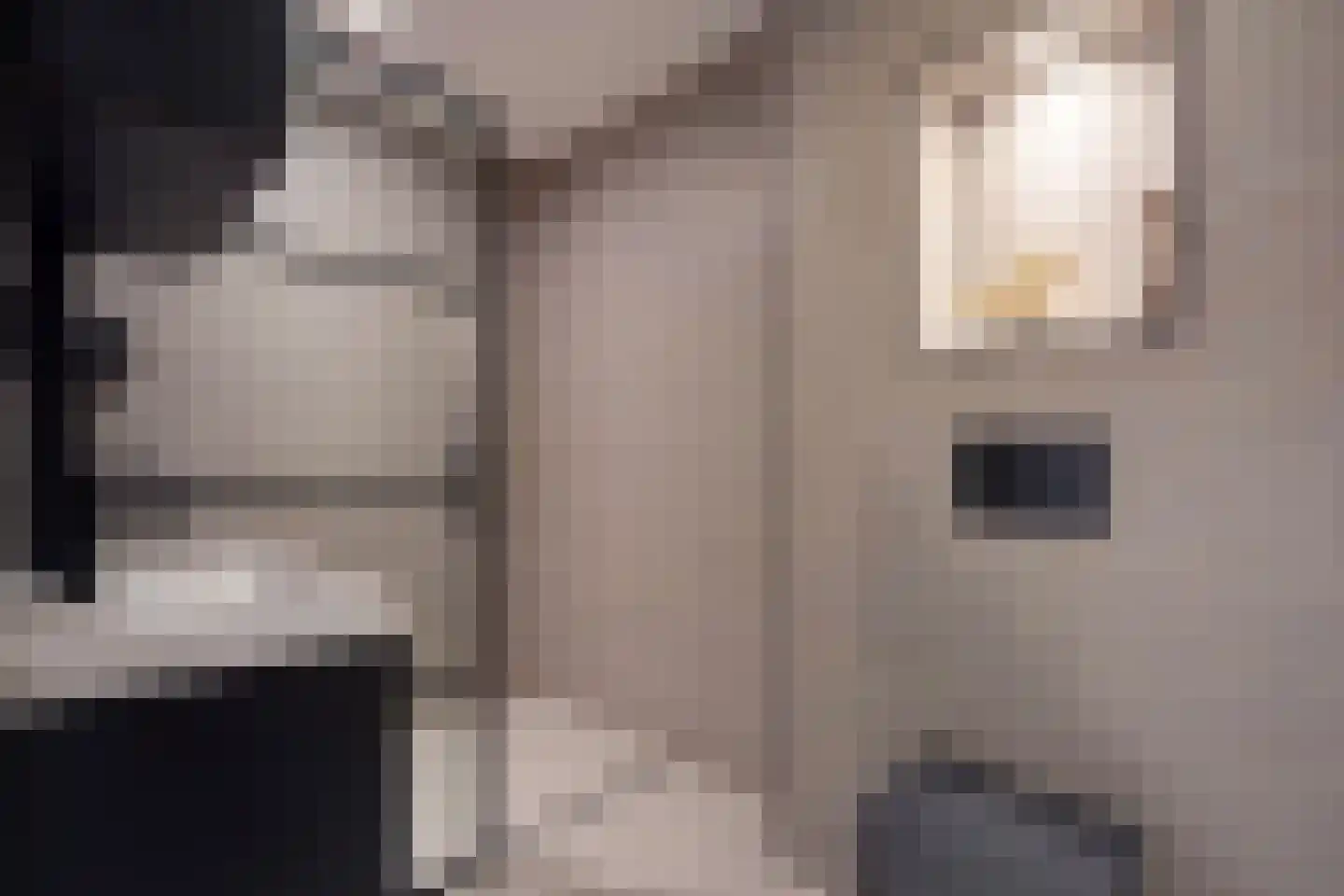 Standaardmolen 1 J Capelle aan den IJssel thumbnail 4