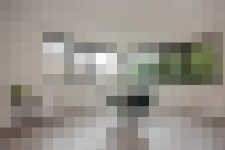 Standaardmolen 1 J Capelle aan den IJssel thumbnail 6