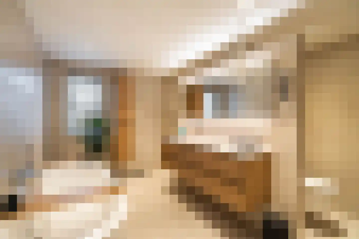Standaardmolen 19 Weert thumbnail 37