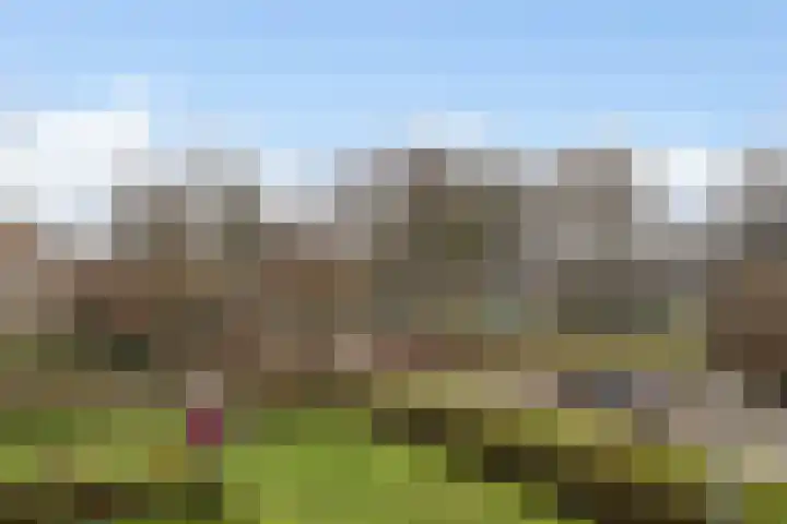 Standaardmolen 19 Weert thumbnail 45