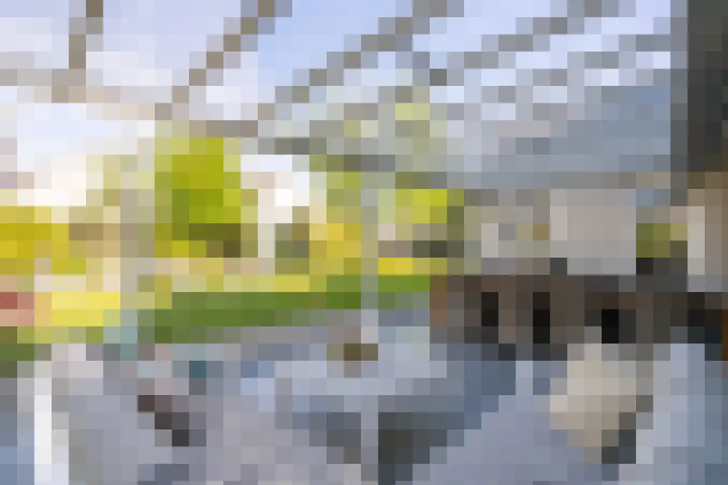 Standaardmolen 19 Weert thumbnail 46