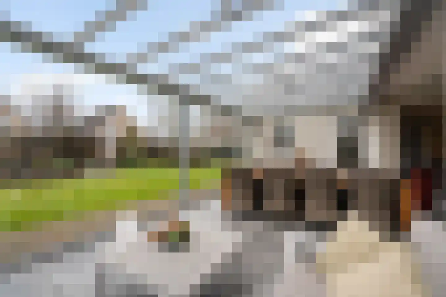 Standaardmolen 19 Weert thumbnail 47