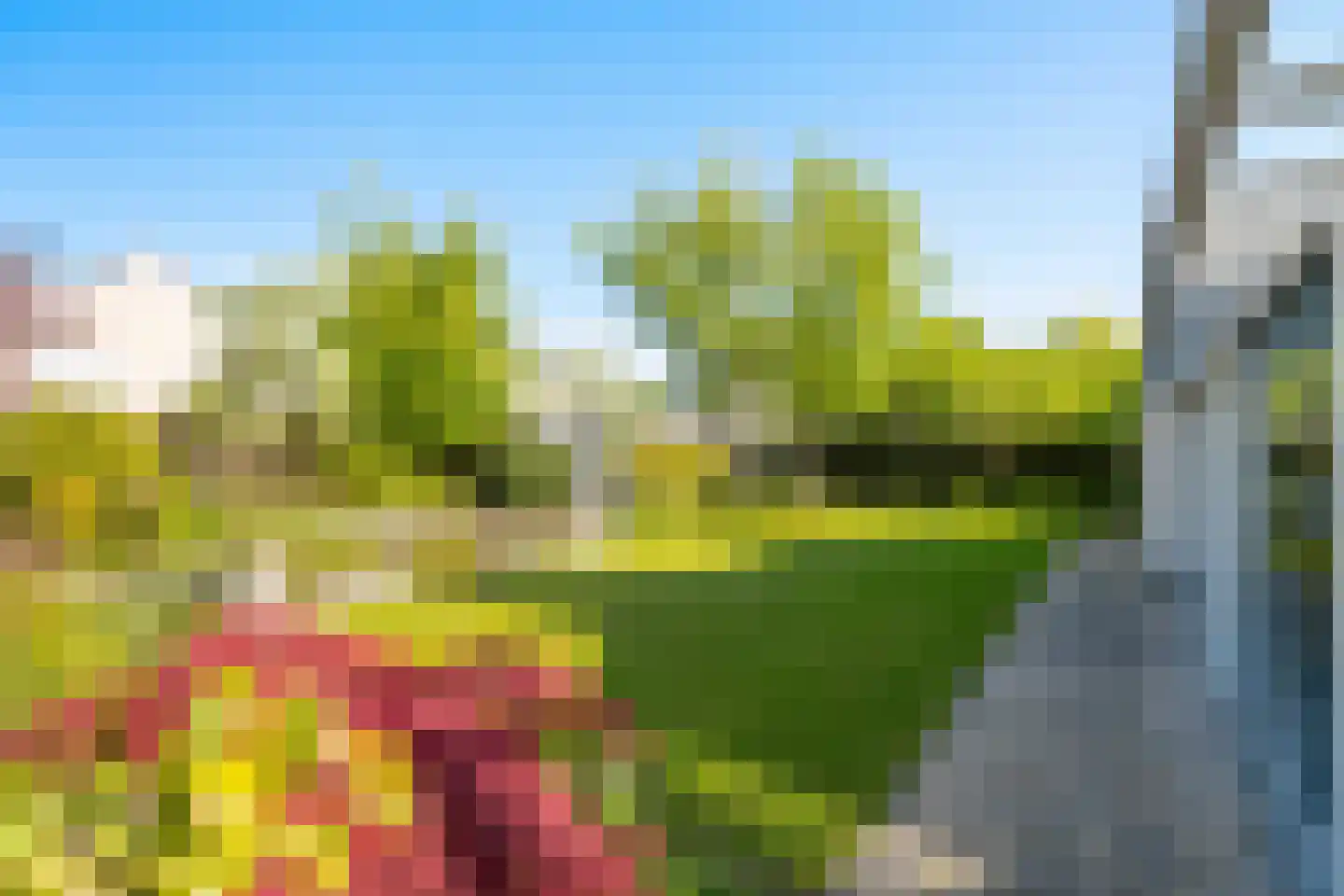 Standaardmolen 19 Weert thumbnail 48