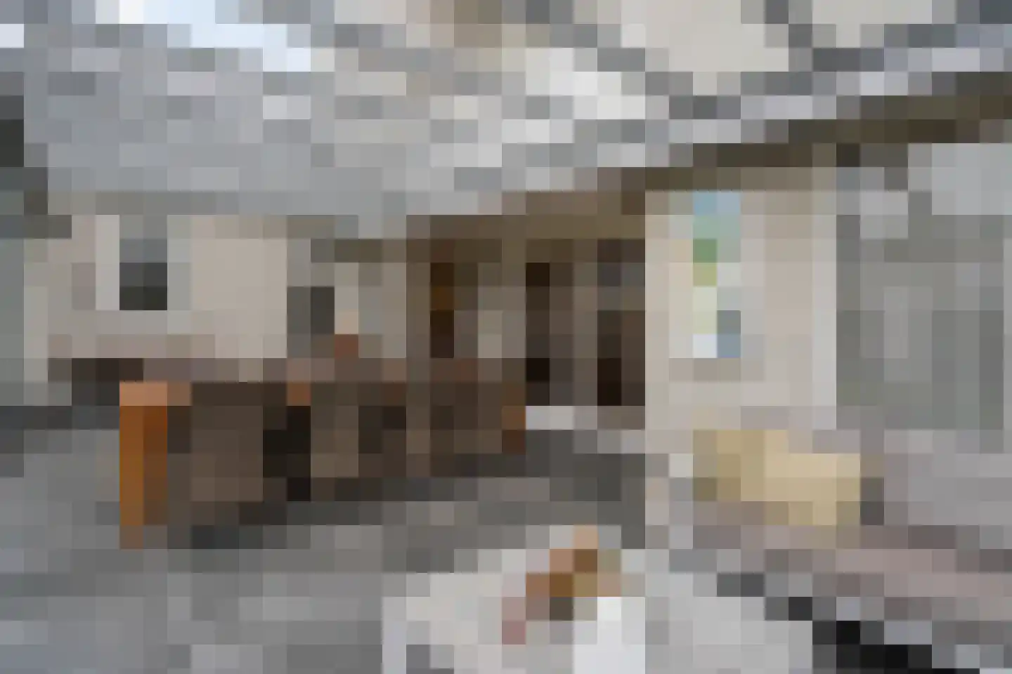 Standaardmolen 19 Weert thumbnail 48