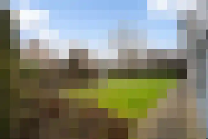 Standaardmolen 19 Weert thumbnail 49