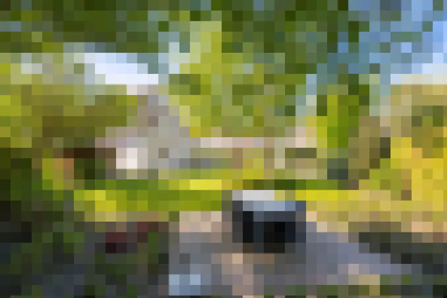 Standaardmolen 19 Weert thumbnail 51