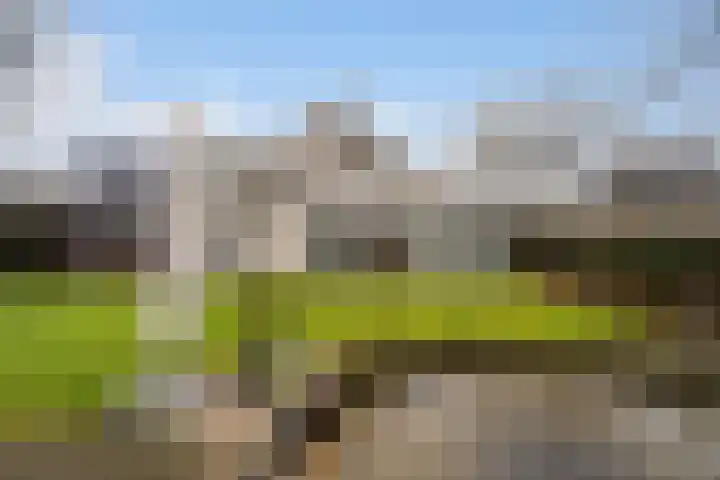 Standaardmolen 19 Weert thumbnail 51
