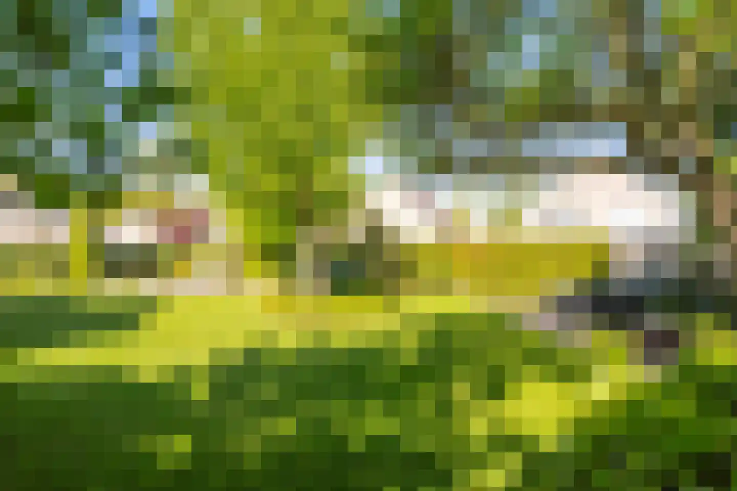 Standaardmolen 19 Weert thumbnail 52