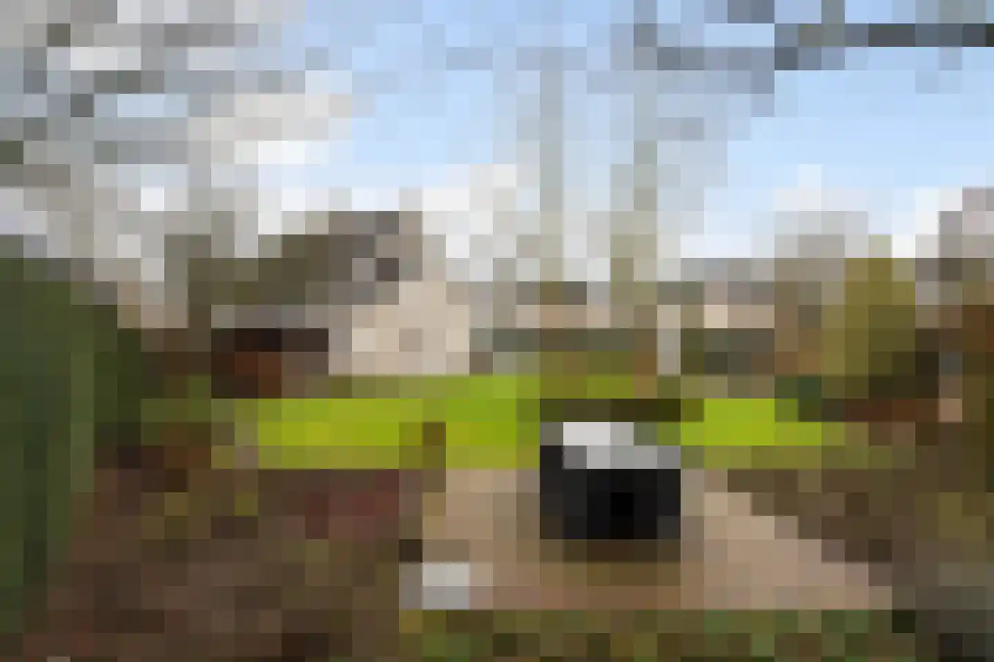 Standaardmolen 19 Weert thumbnail 52