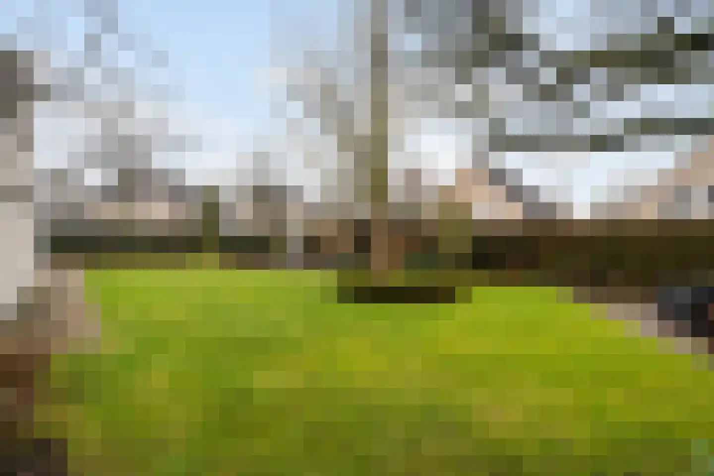 Standaardmolen 19 Weert thumbnail 53