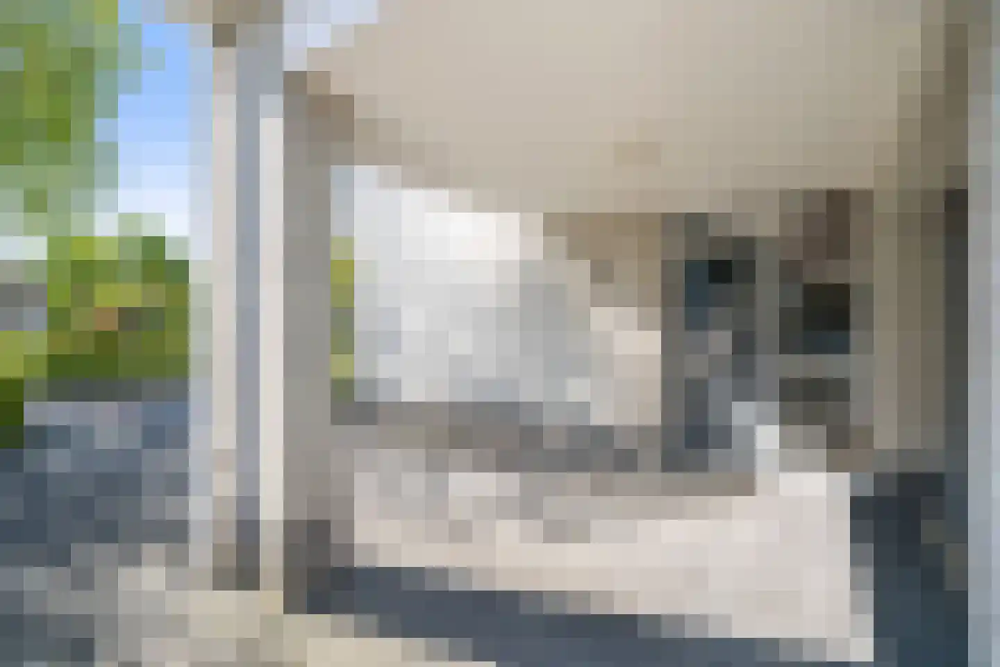 Standaardmolen 19 Weert thumbnail 9